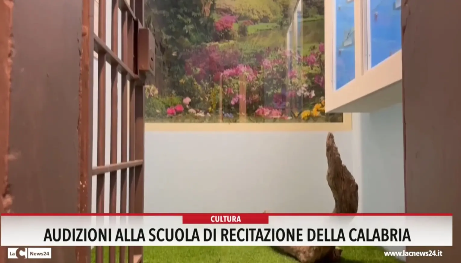 Audizioni alla scuola di recitazione della Calabria