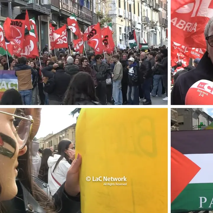 Anche Vibo alza la voce a favore della Palestina: slogan, bandiere e striscioni per Gaza\n