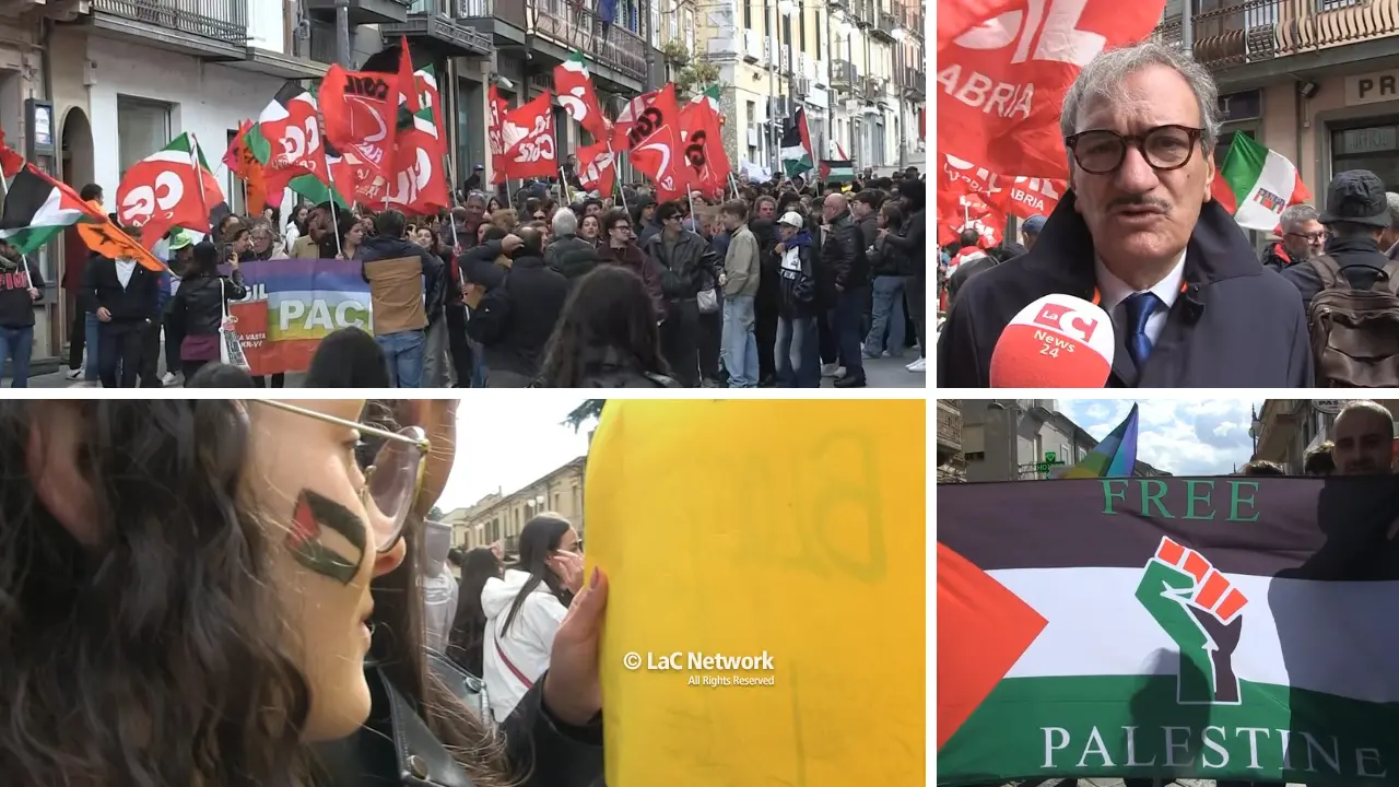 Anche Vibo alza la voce a favore della Palestina: slogan, bandiere e striscioni per Gaza\n