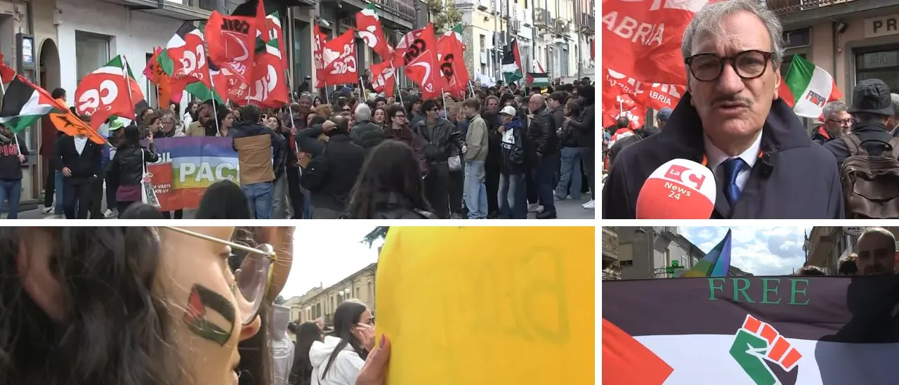 Anche Vibo alza la voce a favore della Palestina: slogan, bandiere e striscioni per Gaza\n