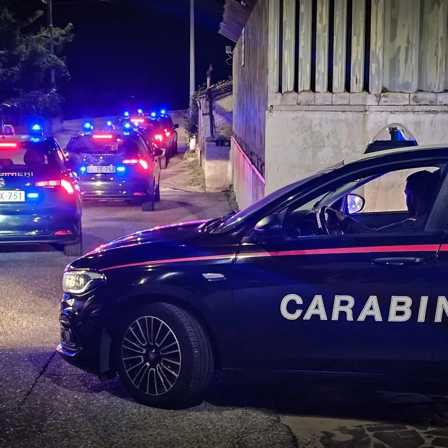 ’Ndrangheta, nuovi arresti nell’inchiesta Eureka: 23 imputati tornano in carcere dopo le condanne nel processo\n