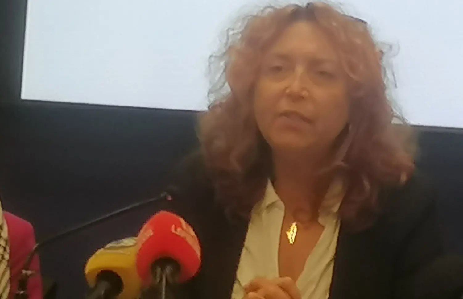 Flotilla, esposto in Procura «per il sequestro degli attivisti e l’attacco subìto in acque internazionali»\n