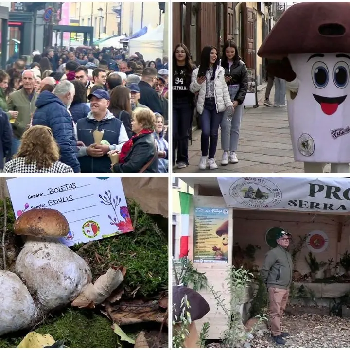 Serra San Bruno, si chiude la dodicesima edizione della Festa del Fungo: tra sapori, musica e turisti vince il territorio\n