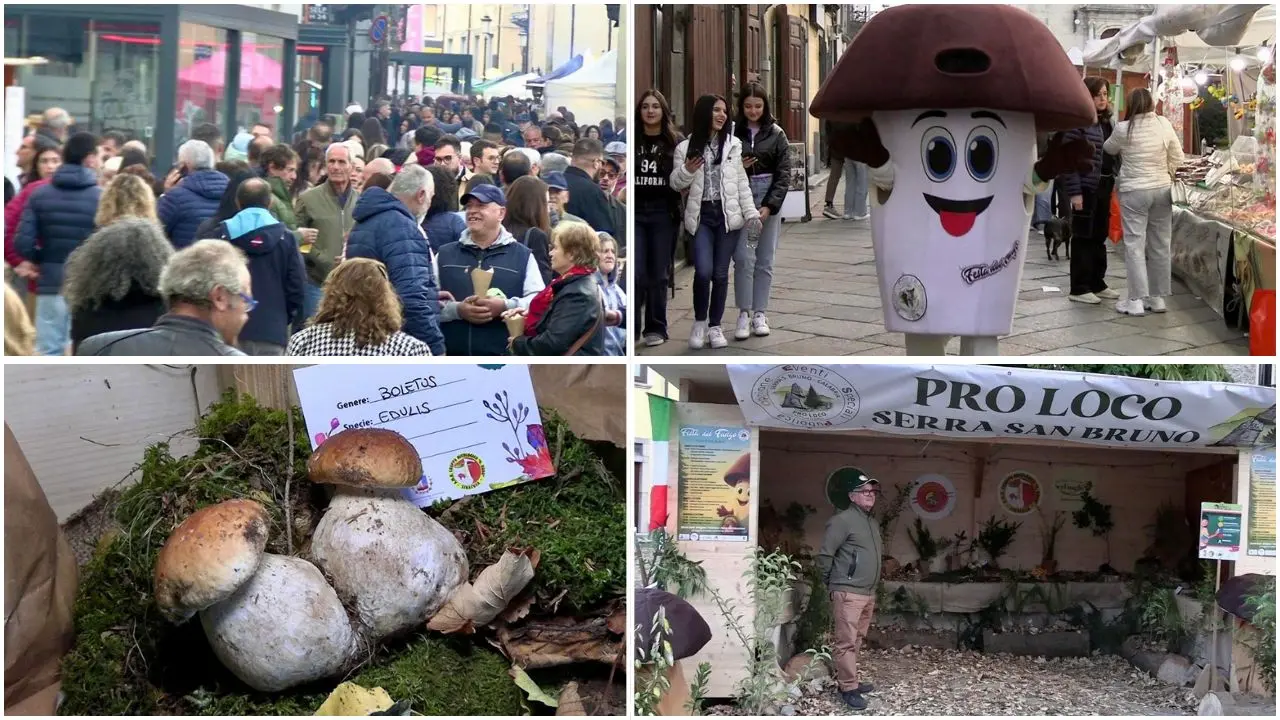 Serra San Bruno, si chiude la dodicesima edizione della Festa del Fungo: tra sapori, musica e turisti vince il territorio\n