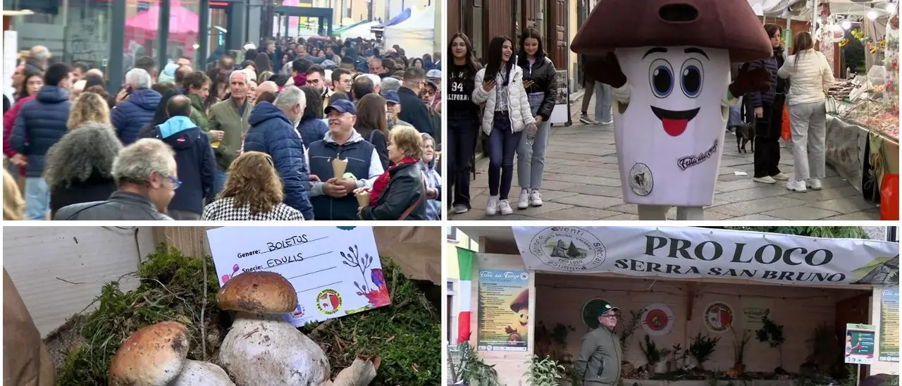 Serra San Bruno, si chiude la dodicesima edizione della Festa del Fungo: tra sapori, musica e turisti vince il territorio\n