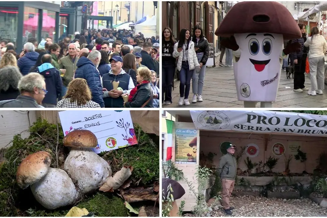 Serra San Bruno, si chiude la dodicesima edizione della Festa del Fungo: tra sapori, musica e turisti vince il territorio\n