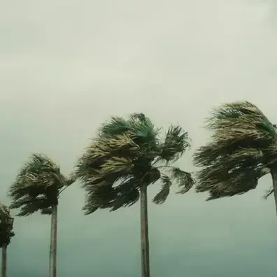 Maltempo in provincia di Cosenza, attese raffiche di vento di oltre\u00A0100 km/h su Sila e\u00A0Pollino\n