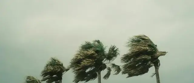 Maltempo in provincia di Cosenza, attese raffiche di vento di oltre\u00A0100 km/h su Sila e\u00A0Pollino\n