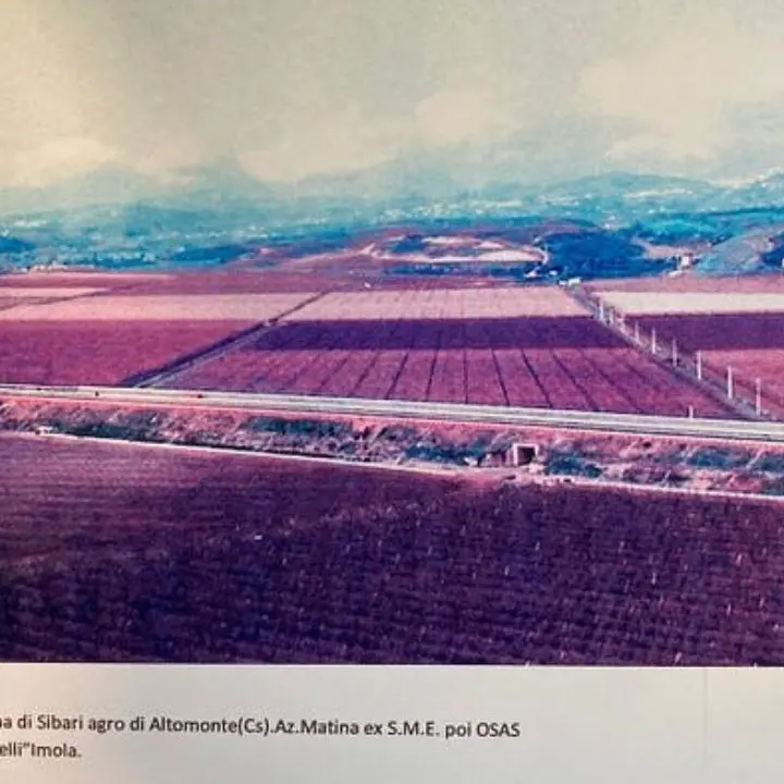 L’Agricoltura di Stato in Calabria: Il caso della SAB di Altomonte