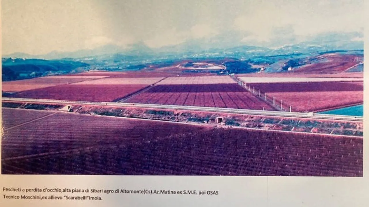 L’Agricoltura di Stato in Calabria: Il caso della SAB di Altomonte