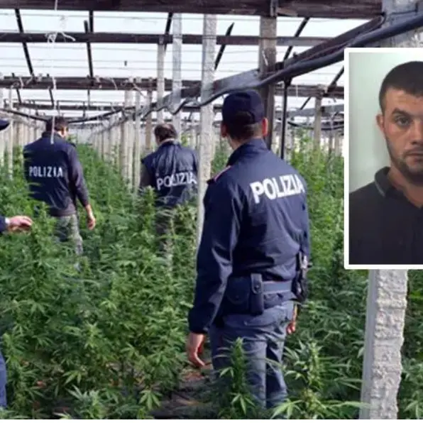 Narcotraffico, nessun risarcimento per un quarantenne di Nicotera assolto in appello