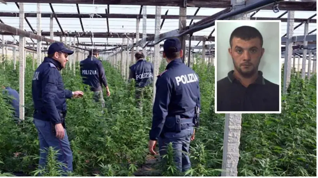 Narcotraffico, nessun risarcimento per un quarantenne di Nicotera assolto in appello