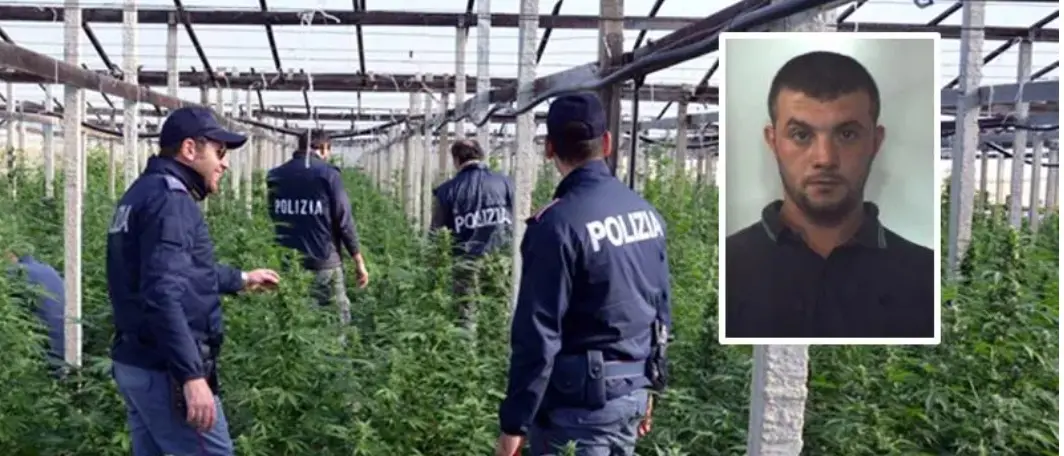 Narcotraffico, nessun risarcimento per un quarantenne di Nicotera assolto in appello