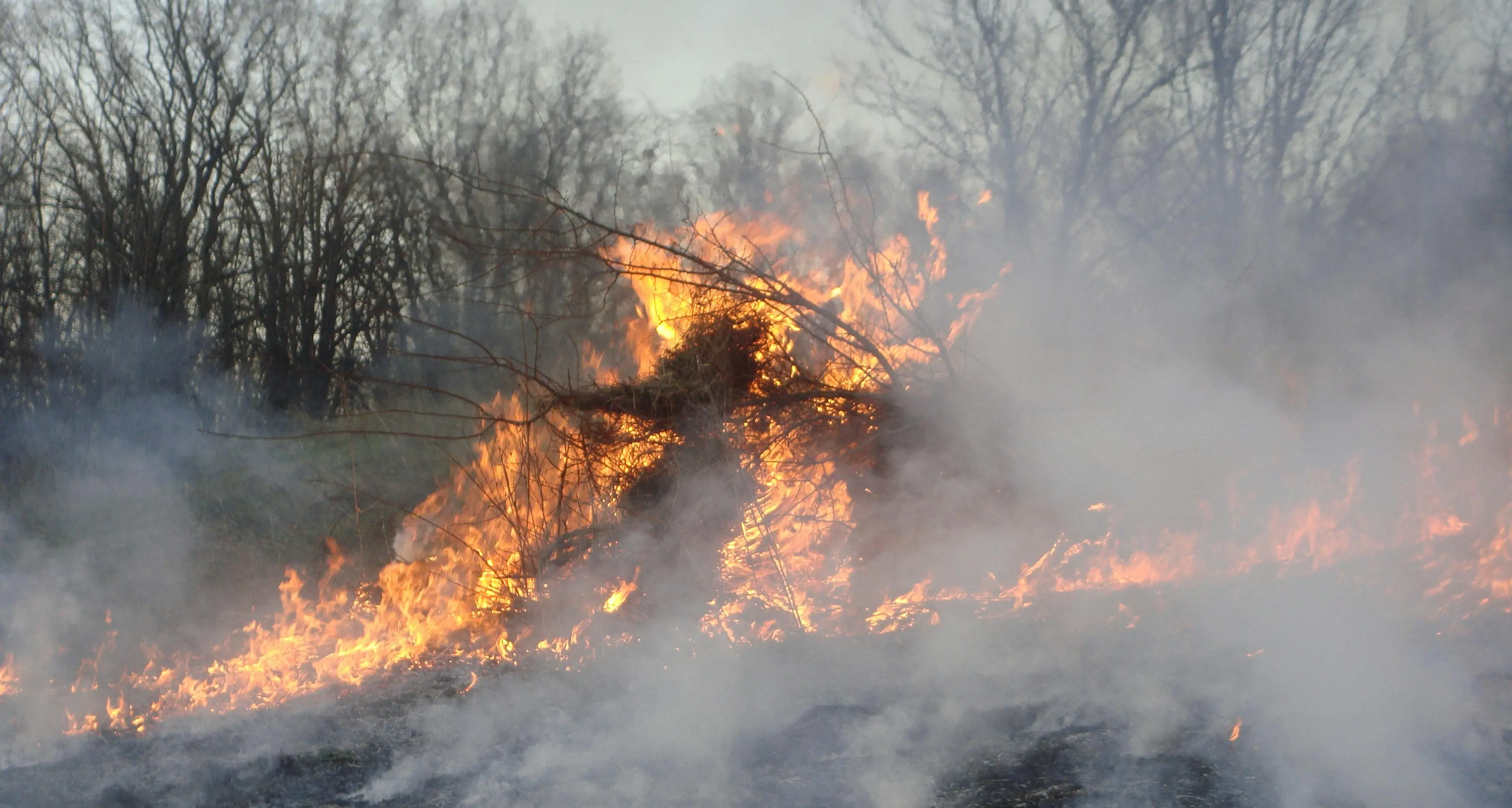 Incendi, la Calabria tra le regioni più colpite nel 2025: in provincia di Cosenza il dato peggiore\n