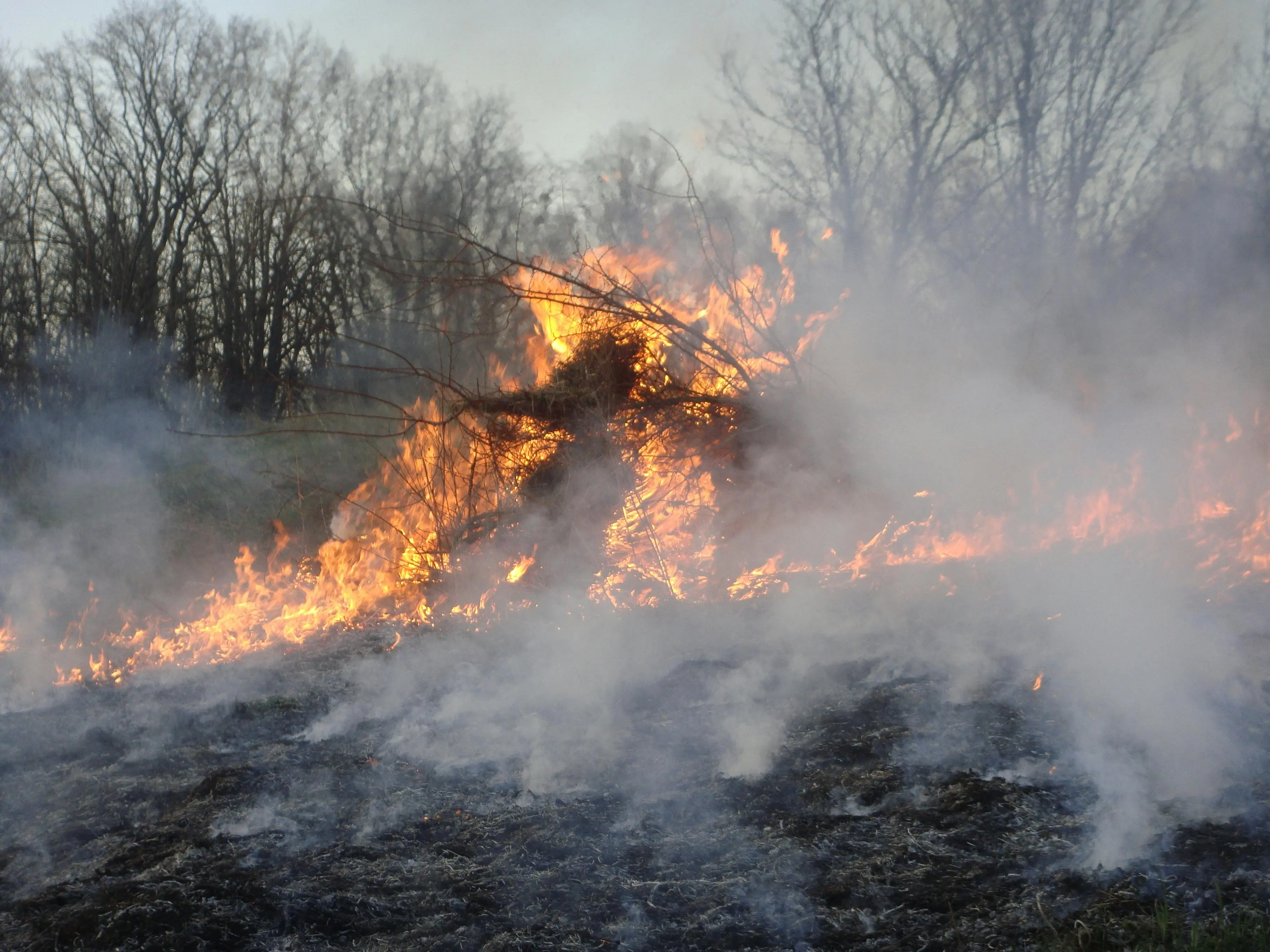 Incendi, la Calabria tra le regioni più colpite nel 2025: in provincia di Cosenza il dato peggiore\n