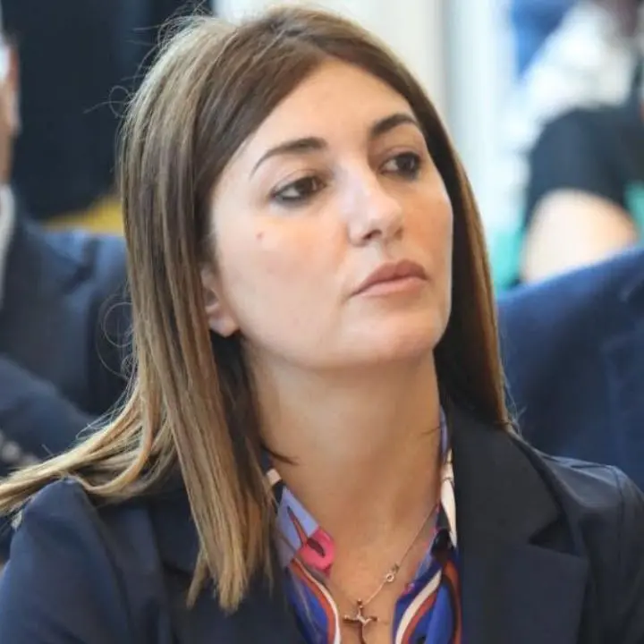 Fondi europei ai piccoli Comuni, De Francesco: «Una piattaforma unica per semplificare l’accesso»\n