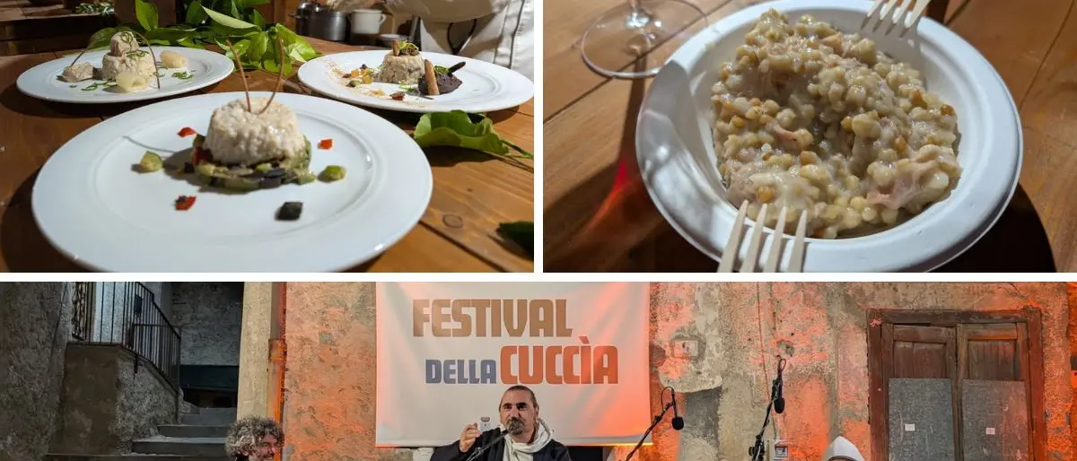 Festival della Cuccìa, tra memoria e innovazione a Casali del Manco\n
