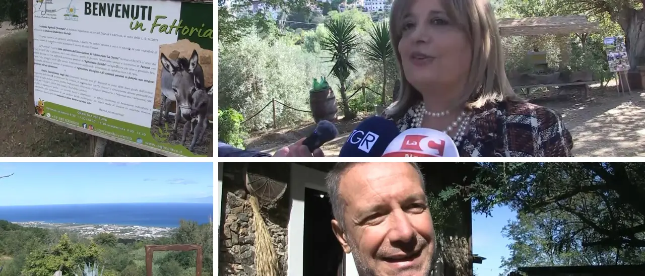 Vibo, la fattoria sociale che accoglie chi ha sbagliato e promuove il reinserimento. Chiodo (Tribunale minorenni): «La bellezza educa e ripara»