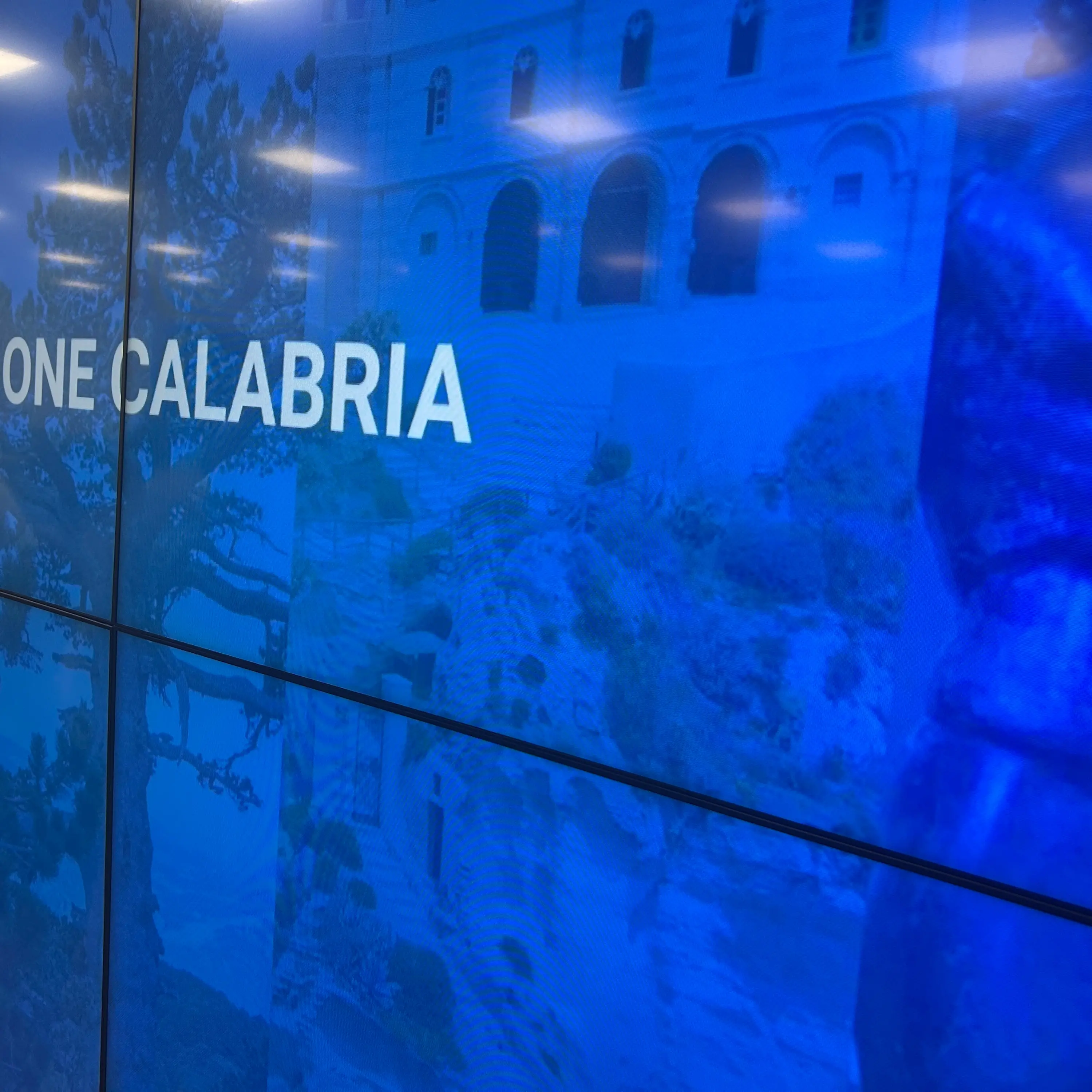 Greco (Lega) nuovo responsabile dei rapporti tra la Regione e i calabresi nel mondo