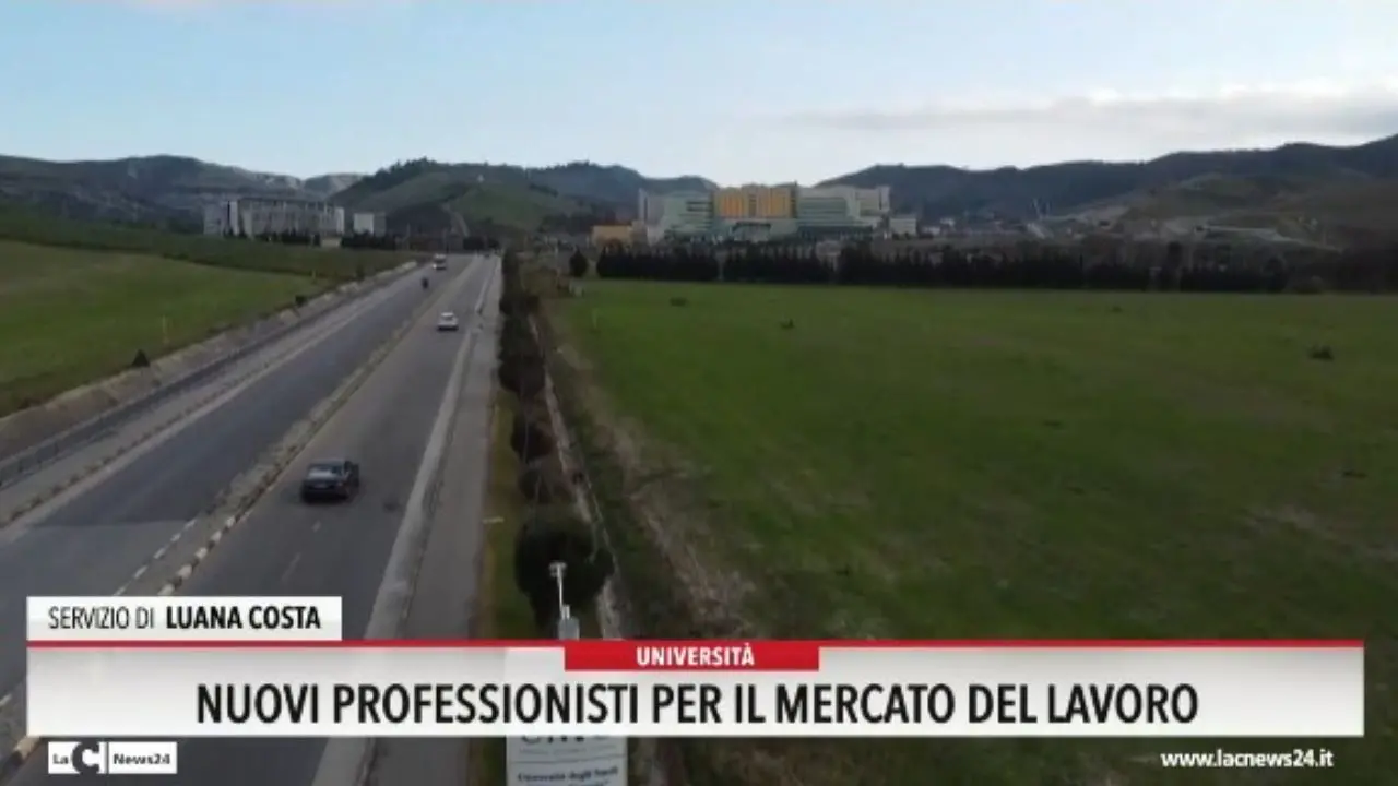 Nuovi professionisti per il mercato del lavoro
