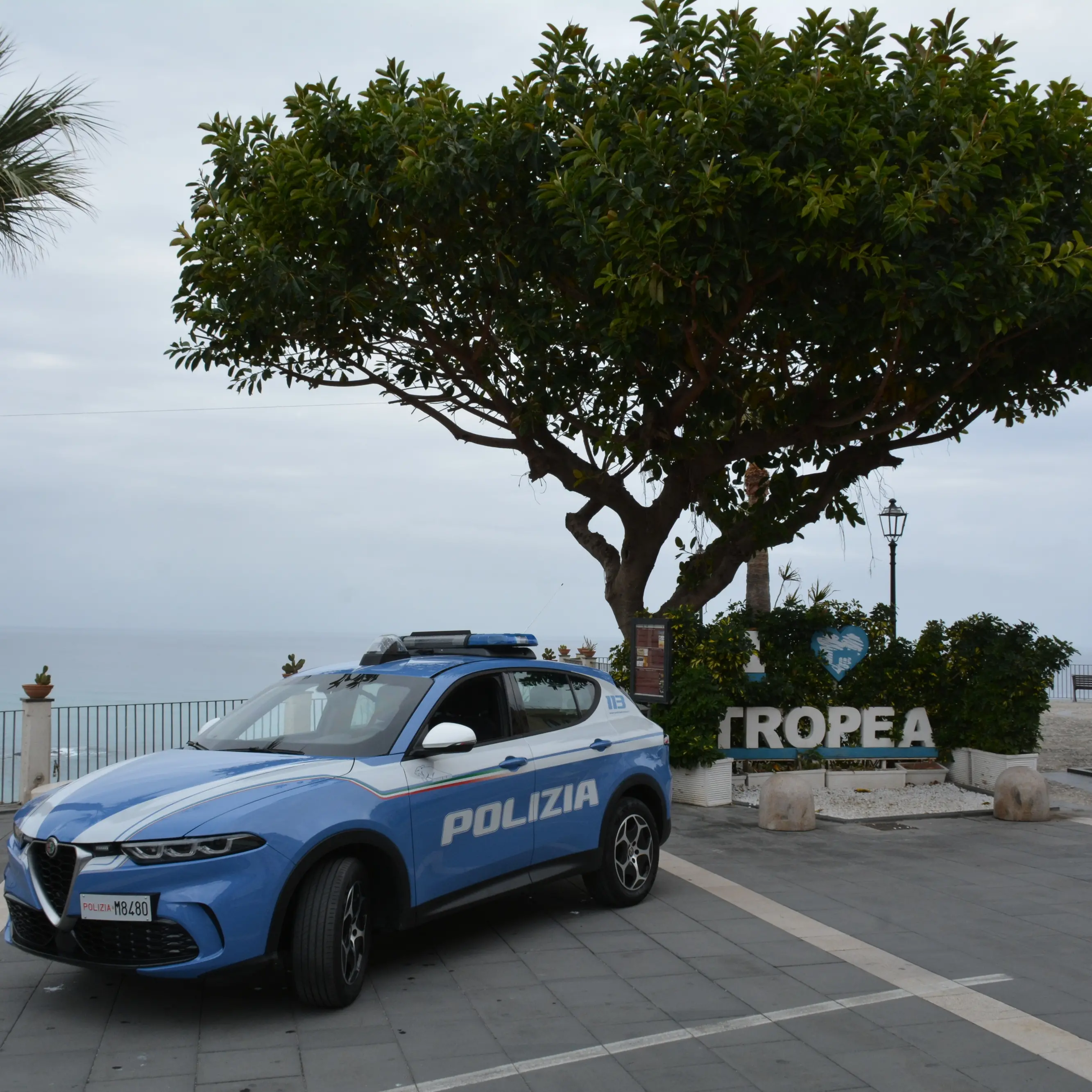 Rissa in un locale di\u00A0Tropea: il questore\u00A0emette\u00A06 Daspo “Willy”, 14 “Fuori contesto” e 8 fogli di via\n