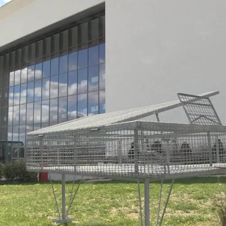 Nuovo teatro di Vibo, ad Ama Calabria la gestione per 6\u00A0mesi. La storica associazione lametina si aggiudica il bando\u00A02025/26\n