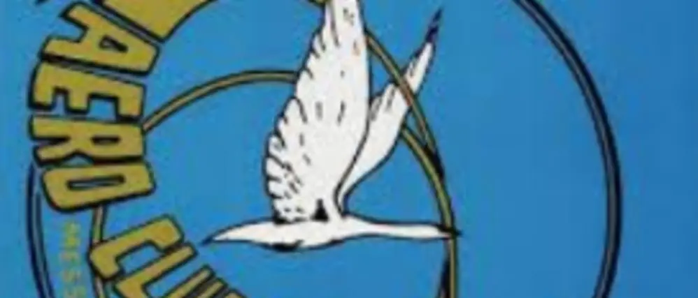 Reggio, rinnovato il Consiglio Direttivo dell’Aero Club dello Stretto A.S.D.