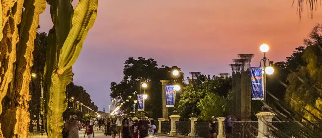 LA FOTO DEL GIORNO | Ancora qui, mano nella mano