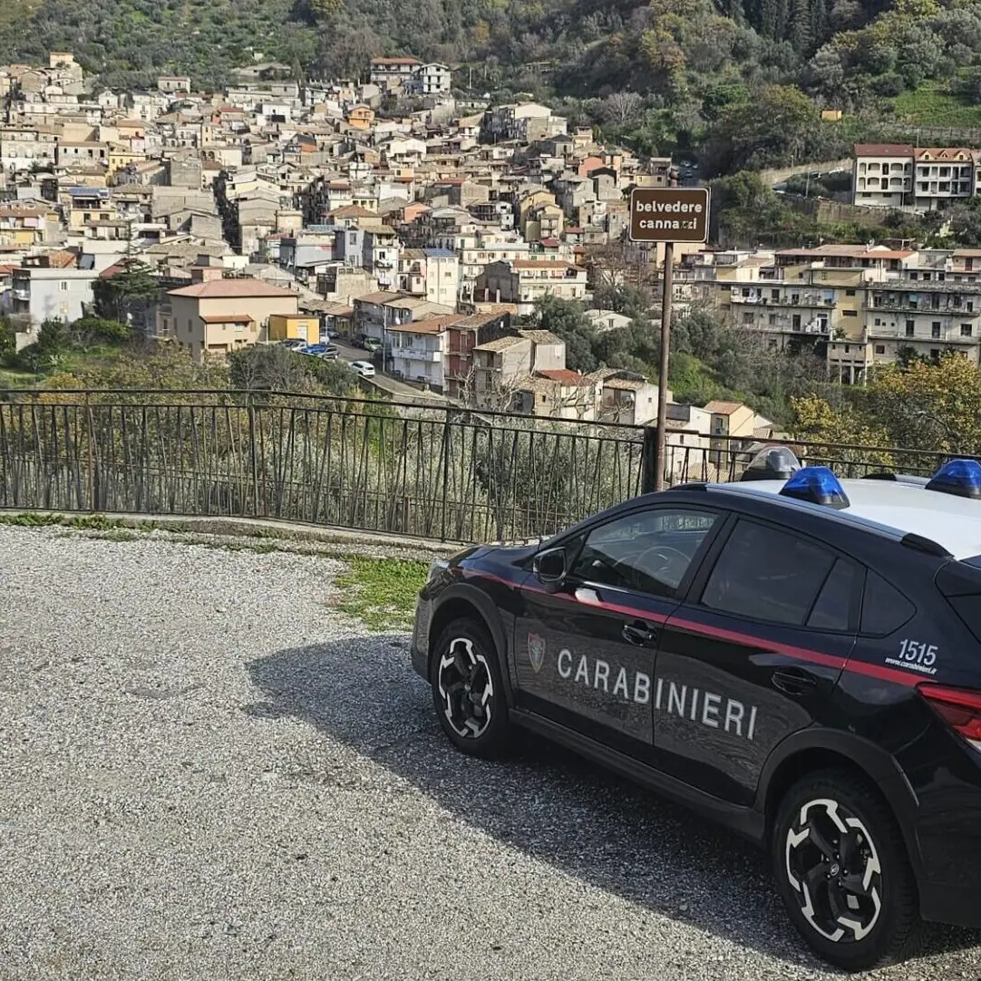 Continuano i controlli dei Carabinieri forestali all'interno del Parco Nazionale d'Aspromonte