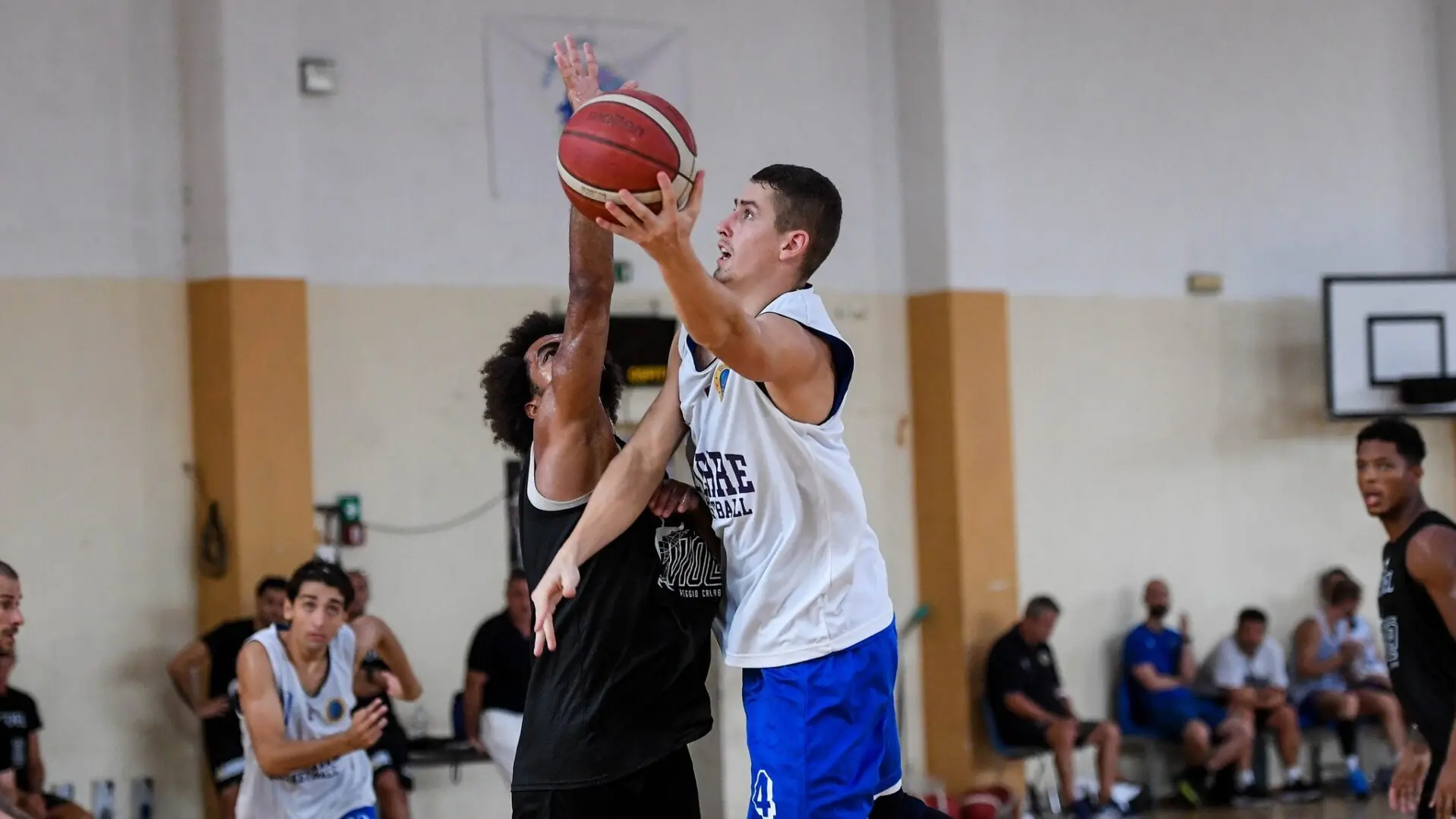 La Dierre Basket ingaggia il talento serbo Aleksa Petrovic