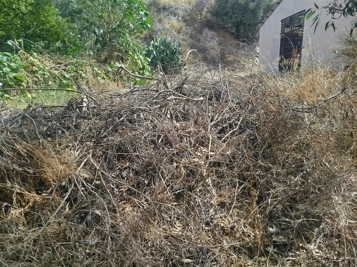 A Lazzaro, Crea (Ancadic): «Alti e grossi rami di alberi ondeggiano sulla strada con rischio di caduta su strada e abitazioni»
