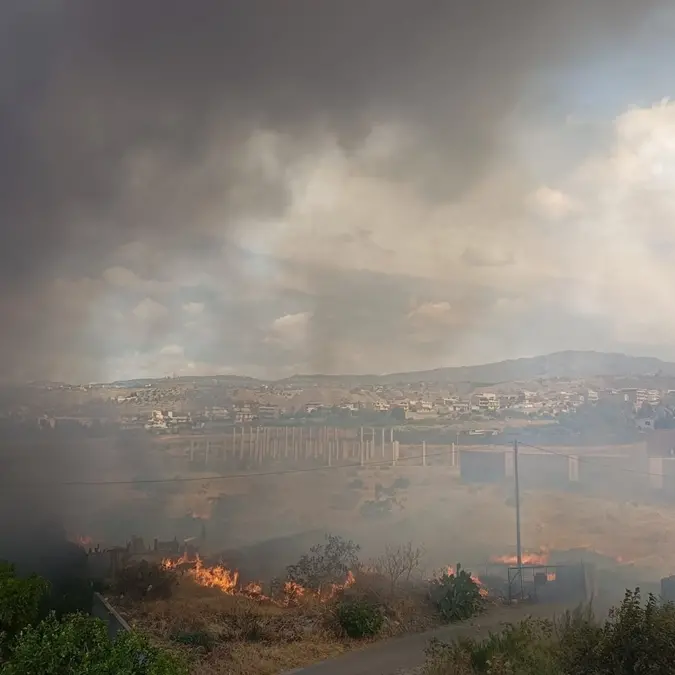 Reggio, nuovo rogo al centro agroalimentare di San Gregorio: distrutti quattro magazzini