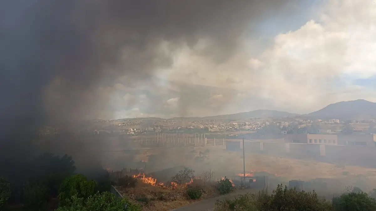 Reggio, nuovo rogo al centro agroalimentare di San Gregorio: distrutti quattro magazzini
