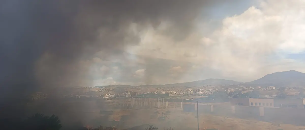 Reggio, nuovo rogo al centro agroalimentare di San Gregorio: distrutti quattro magazzini