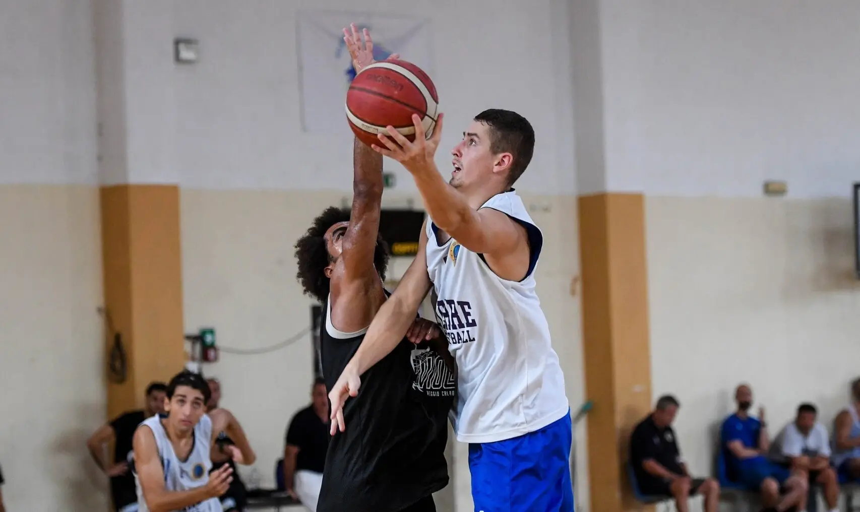 Reggio basket, Petrovic: «Recuperato al 100%, pronto per la Dierre. Reggio? Una città speciale»