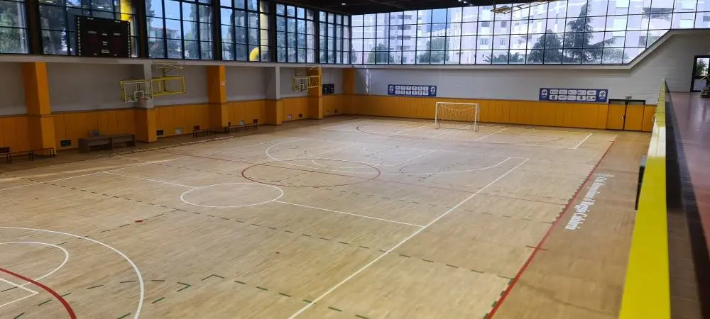 Verso la nuova stagione di pallacanestro, il presidente della Fip Surace: «Abbiamo partecipato al bando per il Pianeta Viola»