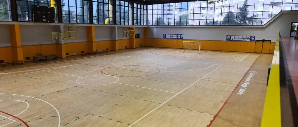 Verso la nuova stagione di pallacanestro, il presidente della Fip Surace: «Abbiamo partecipato al bando per il Pianeta Viola»