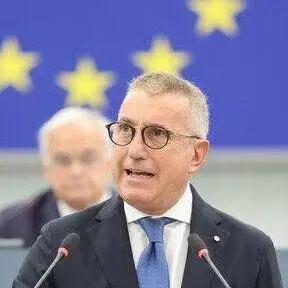 L’on. Alberico Gambino esprime solidarietà ai militanti di Fratelli d’Italia di Villa San Giovanni