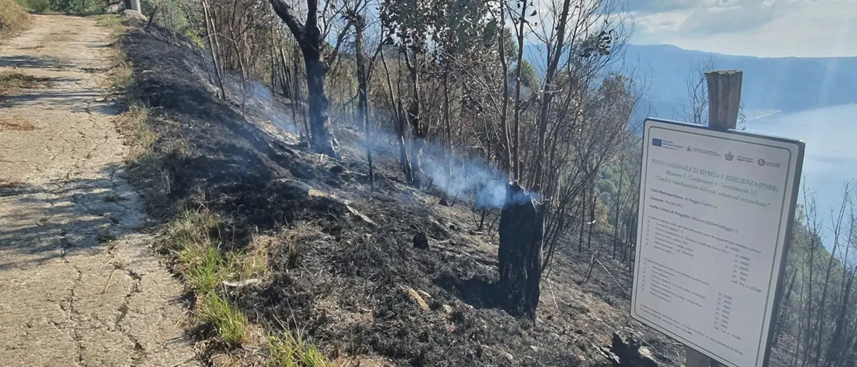In fumo alberi sul Monte Tracciolino a Palmi, Falcomatà: «Attacchi subdoli. Non indietreggiamo»