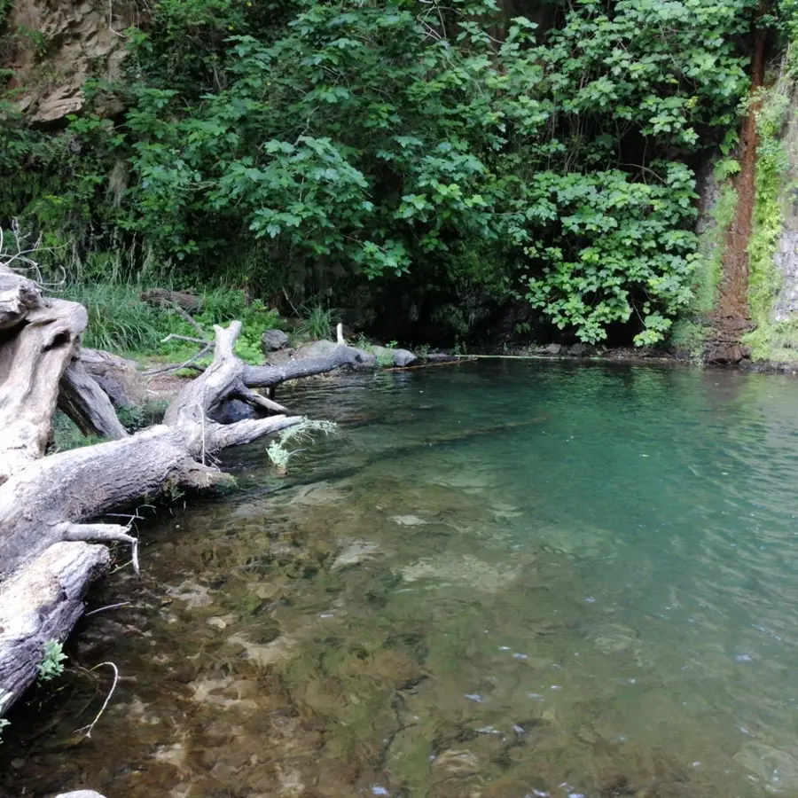 Reggio, la parrocchia di Cannavò scrive al sindaco Falcomatà e propone di valorizzare la Fiumara del Calopinace