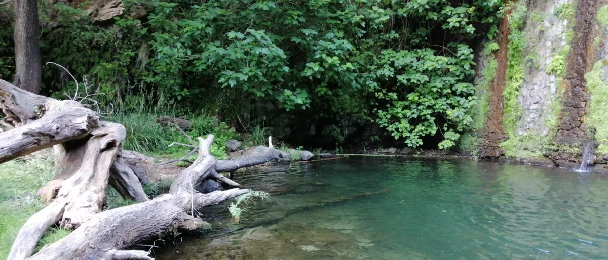 Reggio, la parrocchia di Cannavò scrive al sindaco Falcomatà e propone di valorizzare la Fiumara del Calopinace