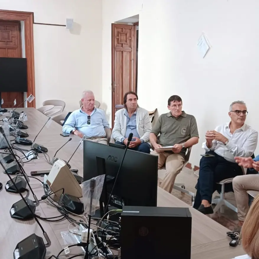 Consulta comunale per la Legalità, il Procuratore Musolino audito in Commissione: «Senza alternative la repressione non basta»