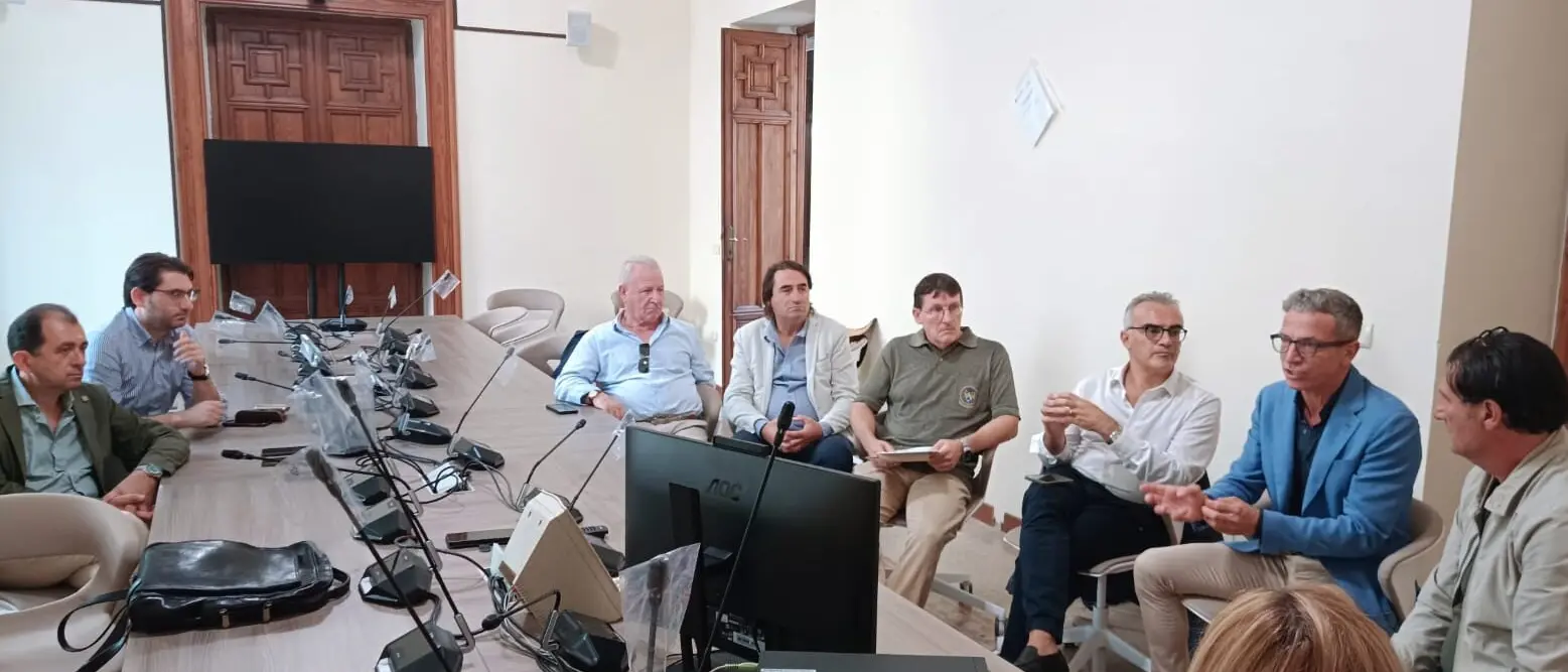 Consulta comunale per la Legalità, il Procuratore Musolino audito in Commissione: «Senza alternative la repressione non basta»