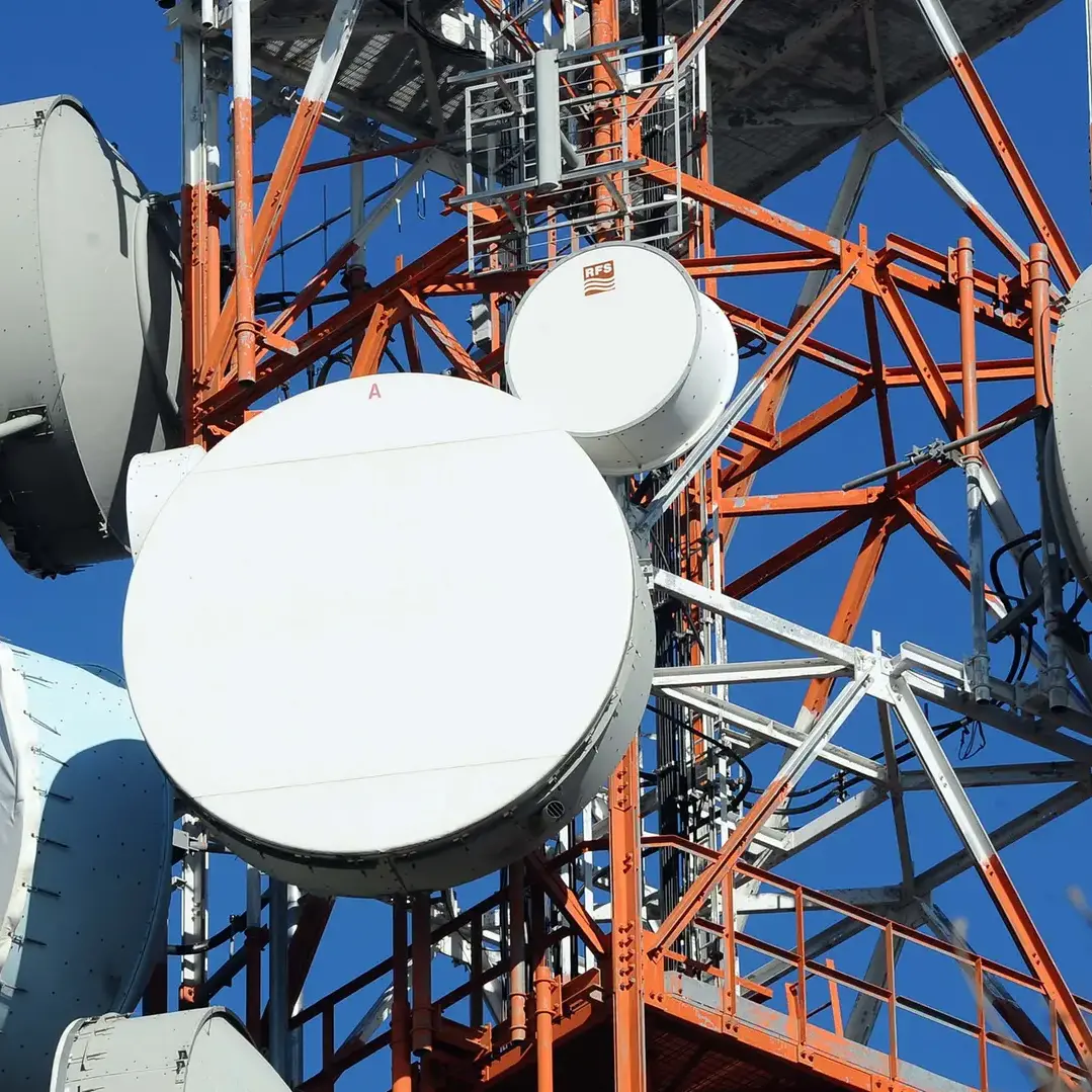 'Ndrangheta e imprenditoria, Piromalli e la pretesa dei 400 mila euro per la protezione al referente Fininvest