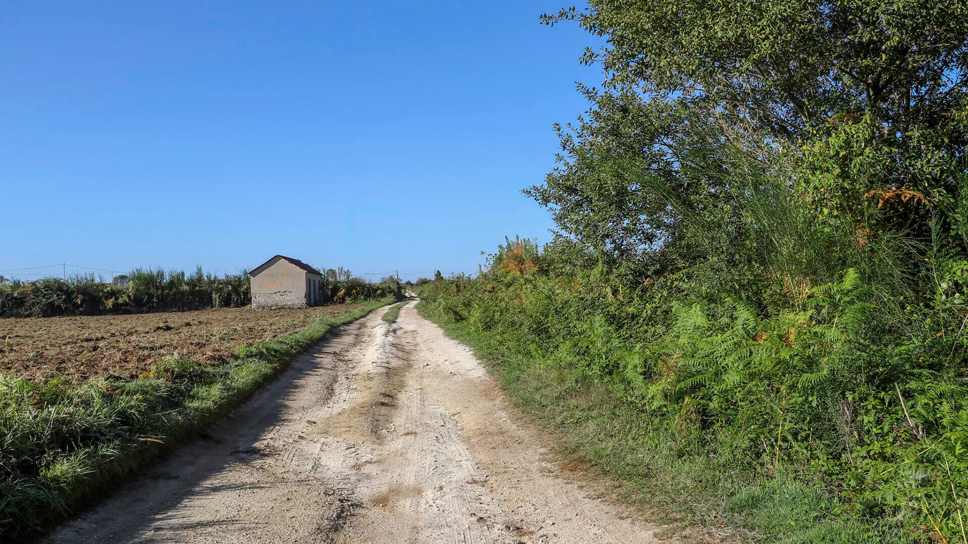 Il 28 settembre nuova escursione dell'associazione \"Gente in Aspromonte\"