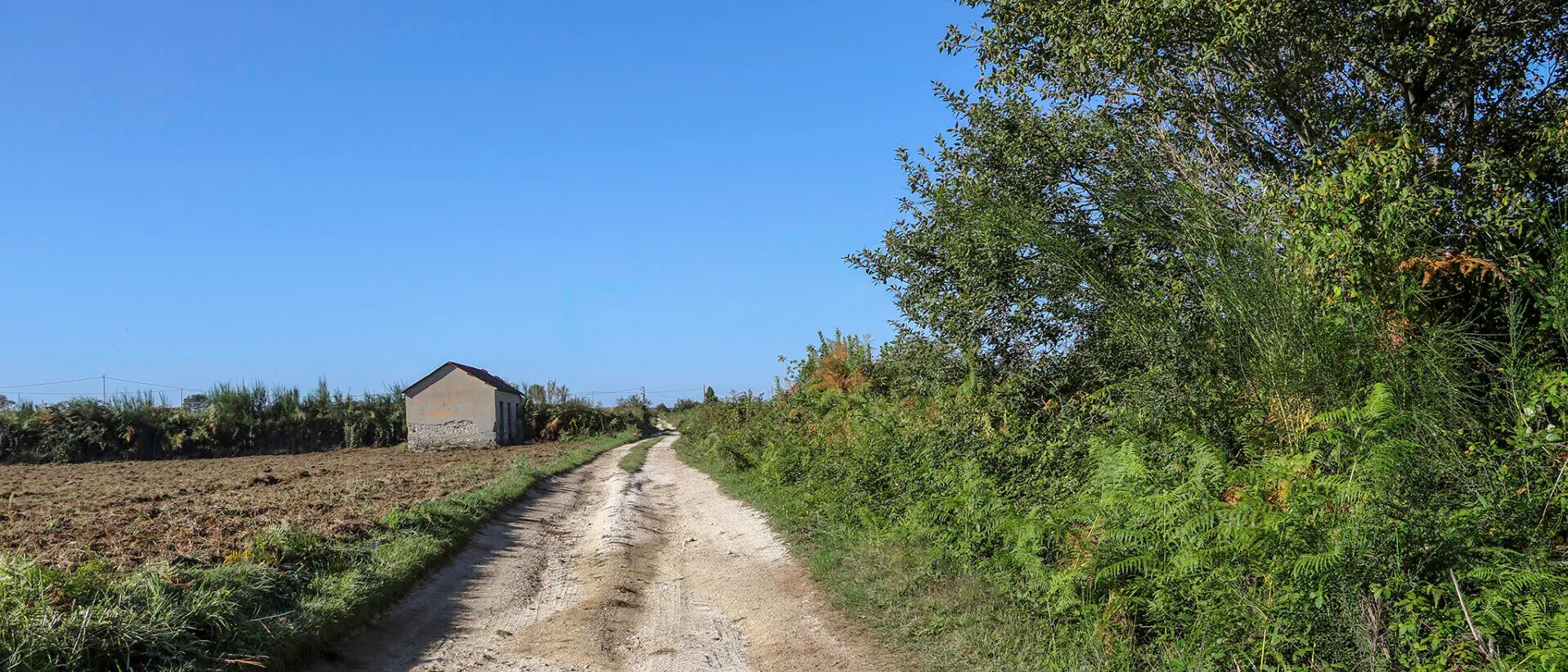 Il 28 settembre nuova escursione dell'associazione \"Gente in Aspromonte\"