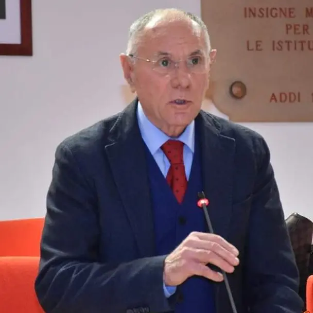 Gioia Tauro, Aldo Alessio: «Scivoloni e bugie da parte della Sindaca»