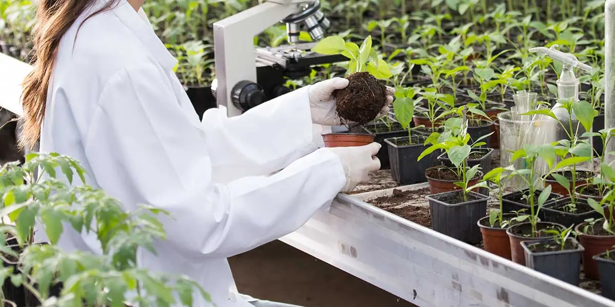 Eletto il Nuovo Consiglio Direttivo e il Collegio dei Revisori dei Periti Agrari e Periti Agrari Laureati della città metropolitana di Reggio Calabria