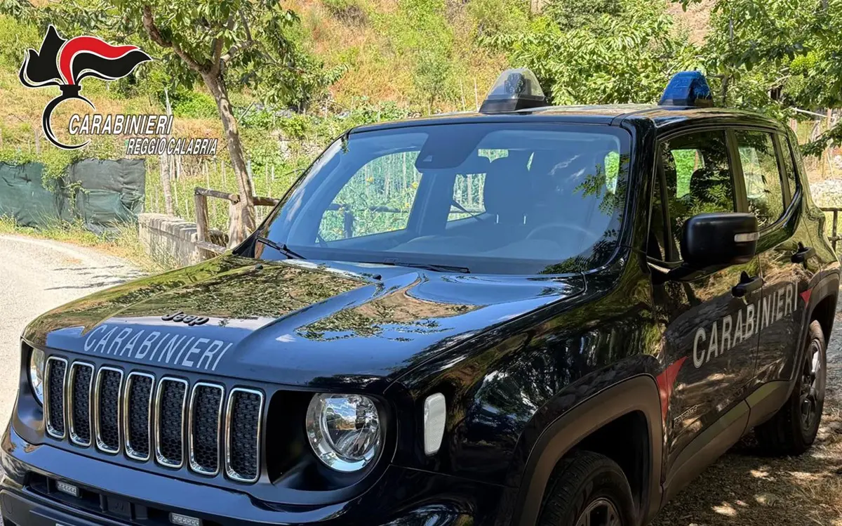 Rubavano energia a Bagnara e a Palmi: due persone arrestate