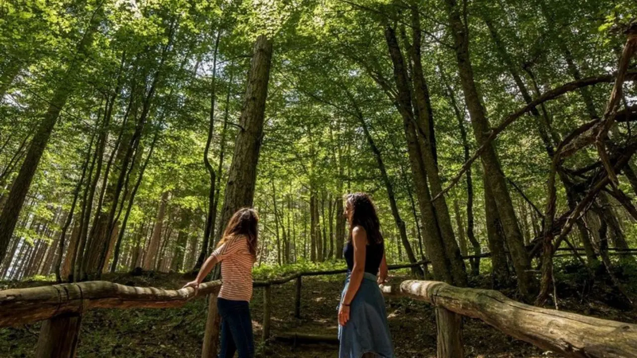 Biodiversità e innovazione, la Sila laboratorio di sostenibilità: il 24 ottobre il convegno finale del progetto SilaBioMetric